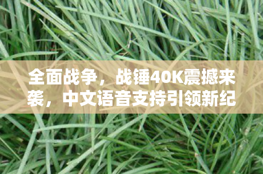 全面战争，战锤40K震撼来袭，中文语音支持引领新纪元