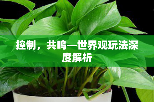 控制，共鸣—世界观玩法深度解析