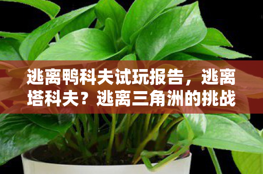 逃离鸭科夫试玩报告，逃离塔科夫？逃离三角洲的挑战之旅！