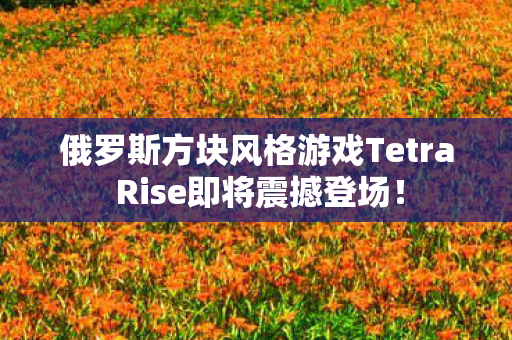 俄罗斯方块风格游戏Tetra Rise即将震撼登场！