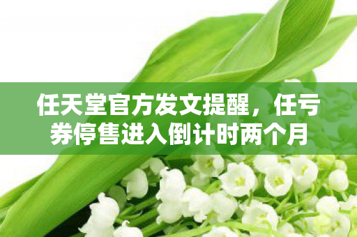 任天堂官方发文提醒，任亏券停售进入倒计时两个月