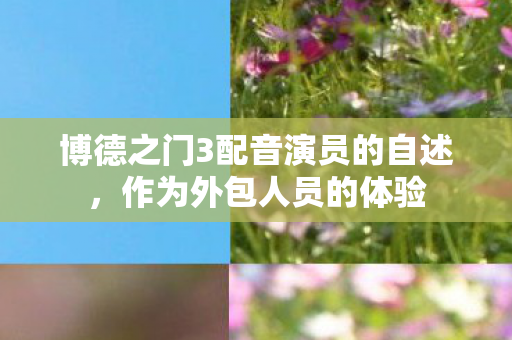 博德之门3配音演员的自述，作为外包人员的体验