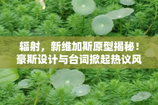 辐射，新维加斯原型揭秘！豪斯设计与台词掀起热议风暴