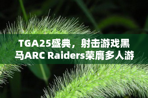 TGA25盛典，射击游戏黑马ARC Raiders荣膺多人游戏桂冠