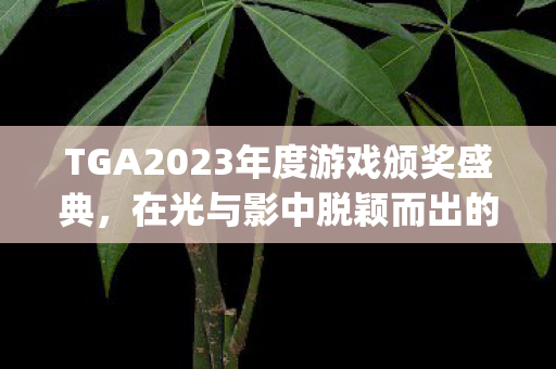 TGA2023年度游戏颁奖盛典，在光与影中脱颖而出的Jennifer English荣获年度最佳表演奖