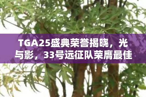 TGA25盛典荣誉揭晓，光与影，33号远征队荣膺最佳RPG游戏