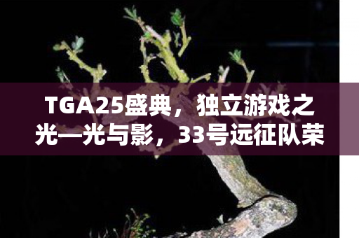 TGA25盛典，独立游戏之光—光与影，33号远征队荣获最佳独立游戏奖