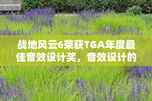 战地风云6荣获TGA年度最佳音效设计奖，音效设计的巅峰之作