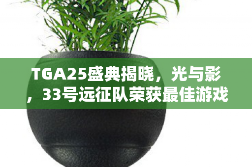 TGA25盛典揭晓，光与影，33号远征队荣获最佳游戏指导奖