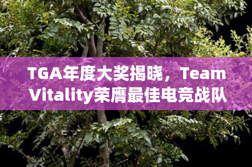 TGA年度大奖揭晓，Team Vitality荣膺最佳电竞战队称号