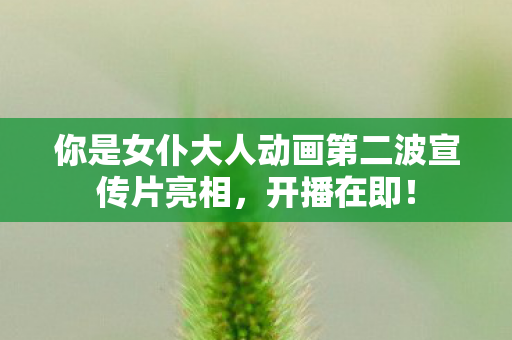 你是女仆大人动画第二波宣传片亮相，开播在即！