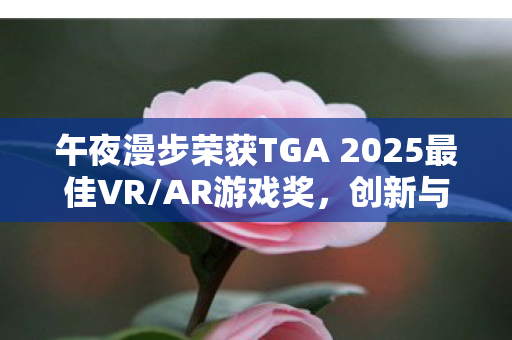 午夜漫步荣获TGA 2025最佳VR/AR游戏奖，创新与沉浸力的完美结合