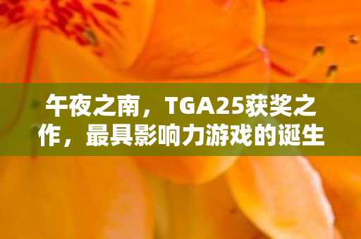 午夜之南，TGA25获奖之作，最具影响力游戏的诞生