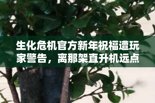 生化危机官方新年祝福遭玩家警告，离那架直升机远点！