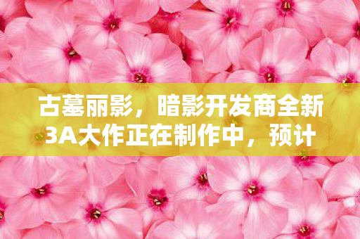 古墓丽影，暗影开发商全新3A大作正在制作中，预计明年发售！