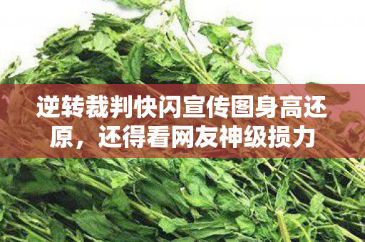 逆转裁判快闪宣传图身高还原，还得看网友神级损力