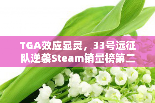 TGA效应显灵，33号远征队逆袭Steam销量榜第二