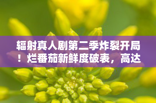 辐射真人剧第二季炸裂开局！烂番茄新鲜度破表，高达97%