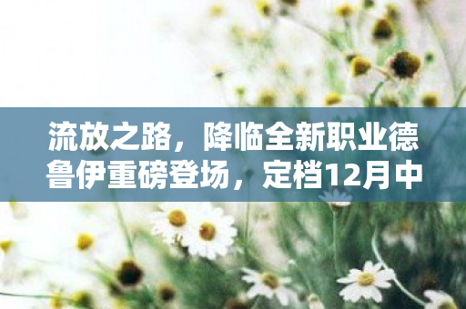 流放之路，降临全新职业德鲁伊重磅登场，定档12月中旬，免费周末同步开启！