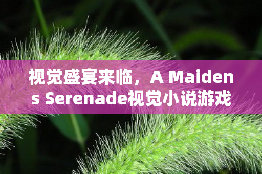 视觉盛宴来临，A Maidens Serenade视觉小说游戏定档12月末