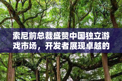 索尼前总裁盛赞中国独立游戏市场，开发者展现卓越的商业意识