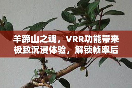 羊蹄山之魂，VRR功能带来极致沉浸体验，解锁帧率后如丝般顺滑！