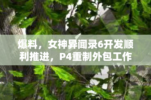 爆料，女神异闻录6开发顺利推进，P4重制外包工作进展顺利