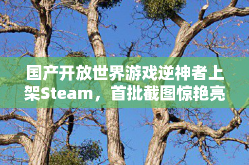 国产开放世界游戏逆神者上架Steam，首批截图惊艳亮相