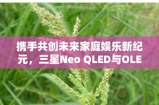 携手共创未来家庭娱乐新纪元，三星Neo QLED与OLED电视让影音与电竞体验达到巅峰