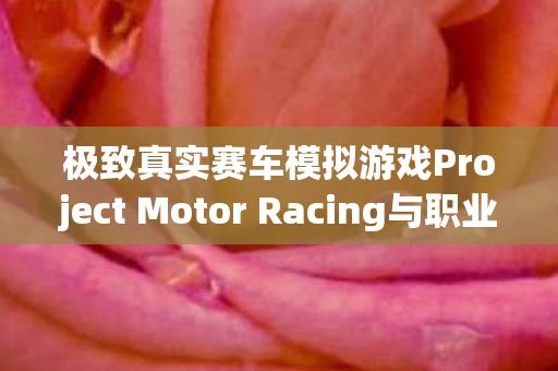 极致真实赛车模拟游戏Project Motor Racing与职业赛车手加藤达彦精选的GT3组别实装车介绍