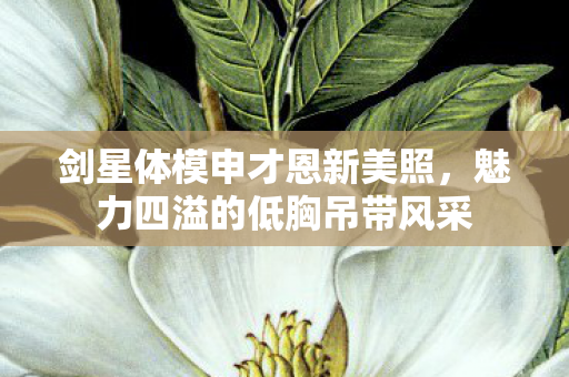 剑星体模申才恩新美照，魅力四溢的低胸吊带风采