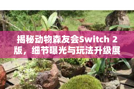 揭秘动物森友会Switch 2版，细节曝光与玩法升级展望