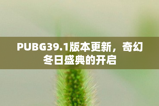 PUBG39.1版本更新，奇幻冬日盛典的开启