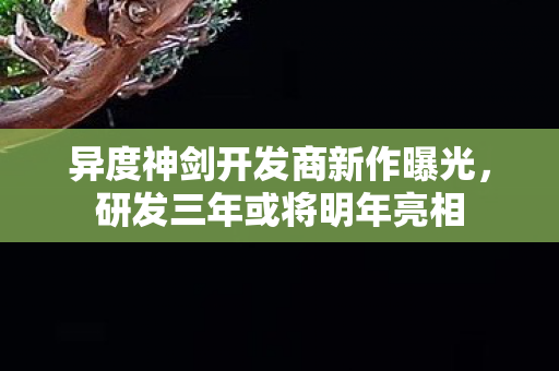 异度神剑开发商新作曝光，研发三年或将明年亮相