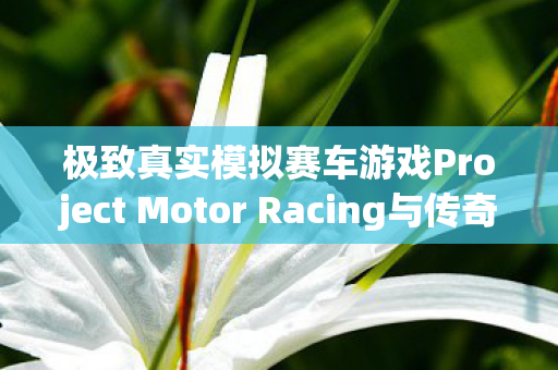 极致真实模拟赛车游戏Project Motor Racing与传奇名车的魅力—日本职业赛车手加藤达彦精选四款传奇名车揭秘