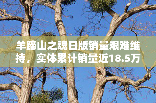 羊蹄山之魂日版销量艰难维持，实体累计销量近18.5万