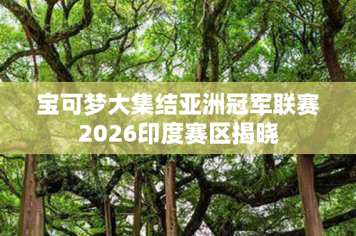 宝可梦大集结亚洲冠军联赛2026印度赛区揭晓