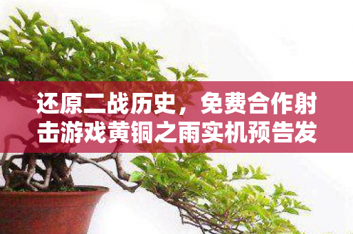 还原二战历史，免费合作射击游戏黄铜之雨实机预告发布