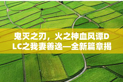 鬼灭之刃，火之神血风谭DLC之我妻善逸—全新篇章揭秘，12月重磅发布