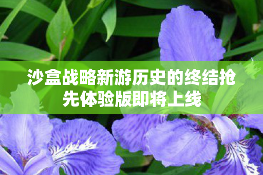 沙盒战略新游历史的终结抢先体验版即将上线