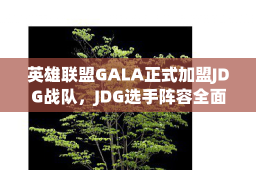 英雄联盟GALA正式加盟JDG战队，JDG选手阵容全面揭晓！