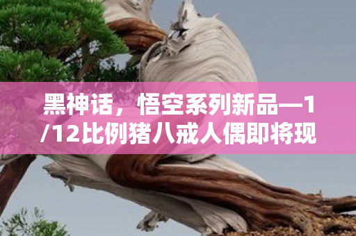黑神话，悟空系列新品—1/12比例猪八戒人偶即将现货开售！预售倒计时仅剩两天！