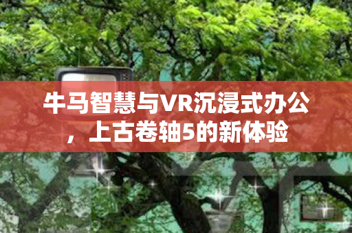牛马智慧与VR沉浸式办公，上古卷轴5的新体验