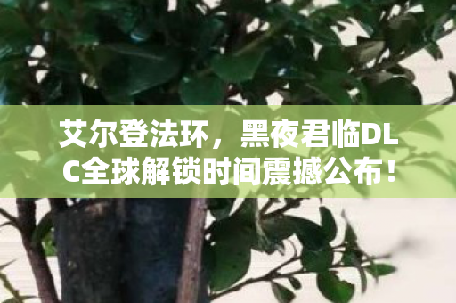 艾尔登法环，黑夜君临DLC全球解锁时间震撼公布！