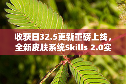 收获日32.5更新重磅上线，全新皮肤系统Skills 2.0实战实测！