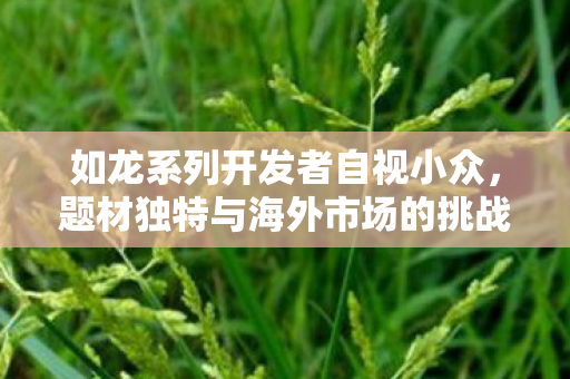 如龙系列开发者自视小众，题材独特与海外市场的挑战