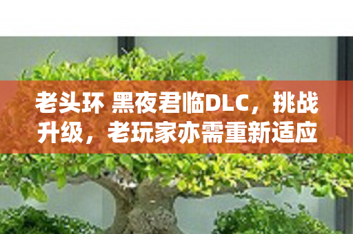 老头环 黑夜君临DLC，挑战升级，老玩家亦需重新适应