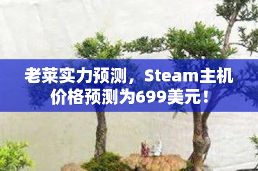 老莱实力预测，Steam主机价格预测为699美元！