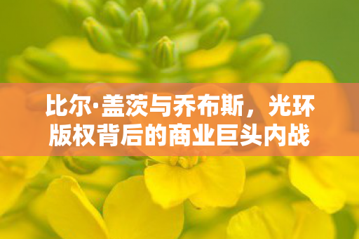 比尔·盖茨与乔布斯，光环版权背后的商业巨头内战