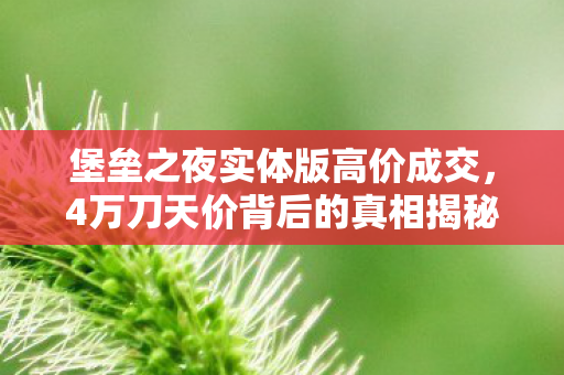 堡垒之夜实体版高价成交，4万刀天价背后的真相揭秘！这价格是真实存在的吗？